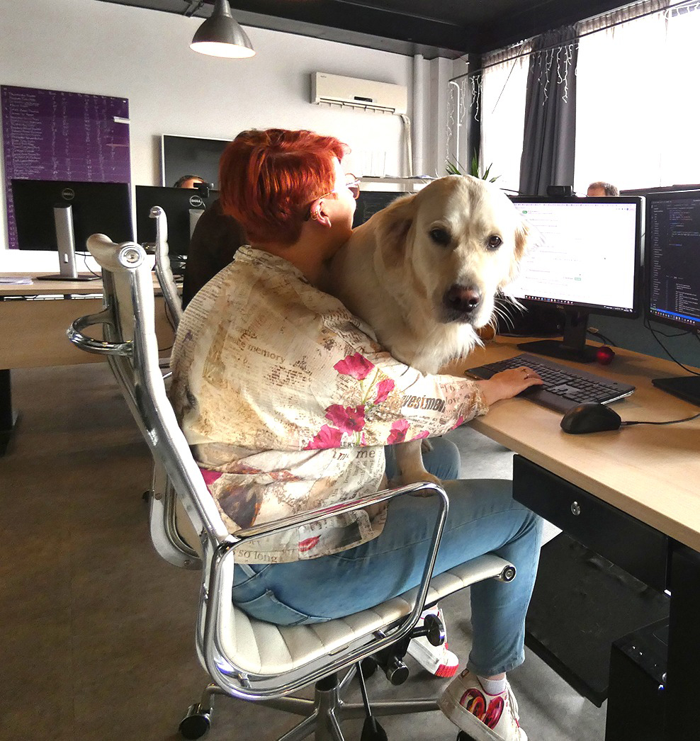 The pros and cons of an office dog: these are our findings