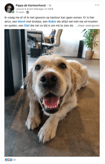 Pippa on LinkedIn