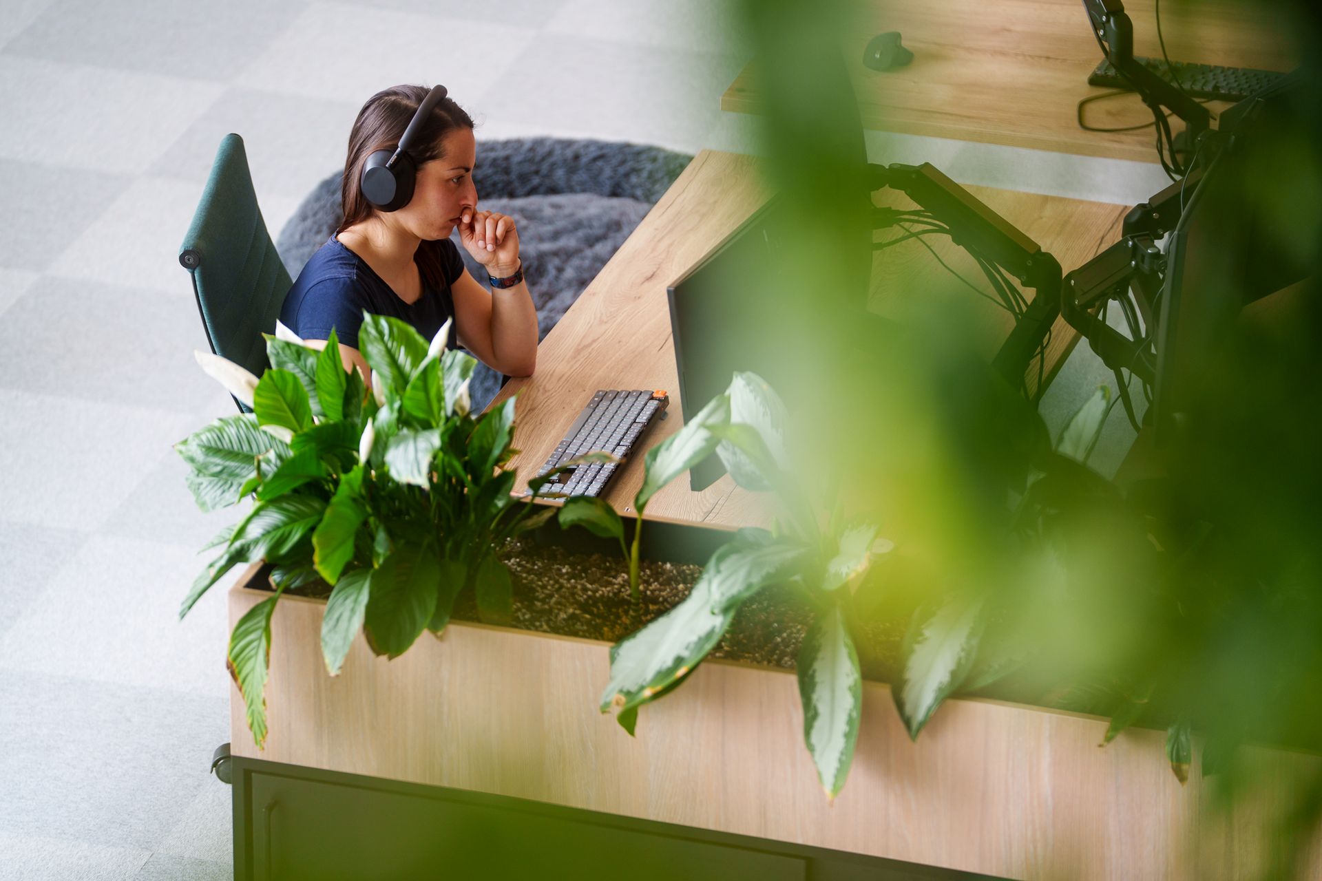 The role of a backend developer in modern projects
